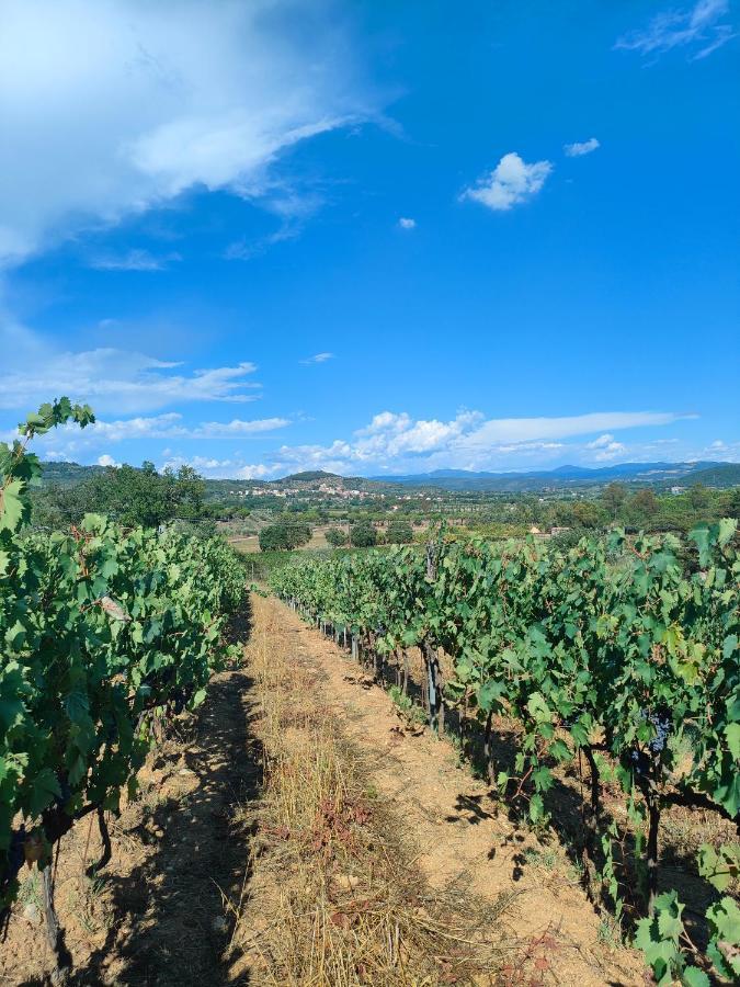 Agriturismo Colle Vento Suvereto Ngoại thất bức ảnh